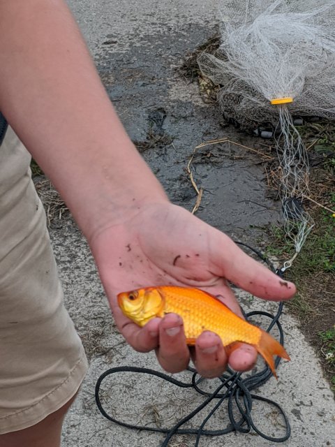 IMG_20200827_195212.jpg