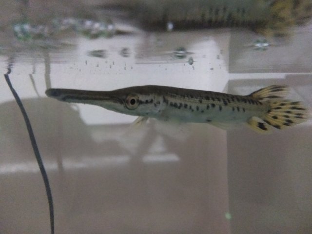 IMG20200823193709.jpg