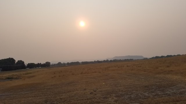 20200822_183547.jpg