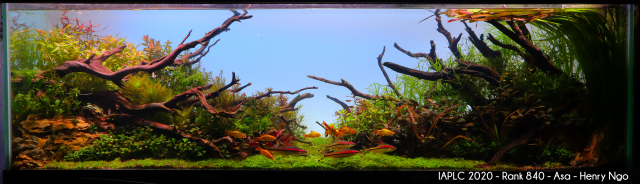 IMG_1460-PR-M-.png