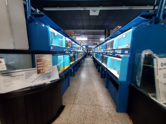 20200830_130703.jpg