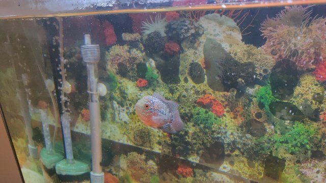 IMG_20200831_081830.jpg