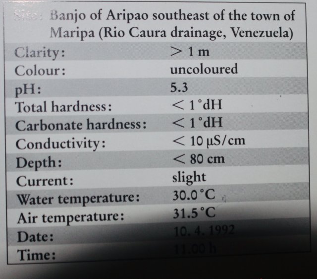 F09E3EF9-94A4-4C8F-B51E-B5274712344F_1_201_a.jpeg F09E3EF9-94A4-4C8F-B51E-B5274712344F_1_201_a.jpeg