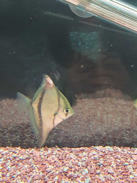 20200905_223601.jpg