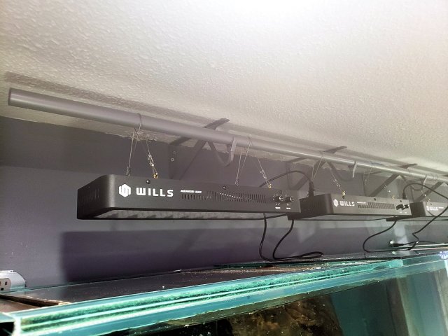 20200828_160715.jpg