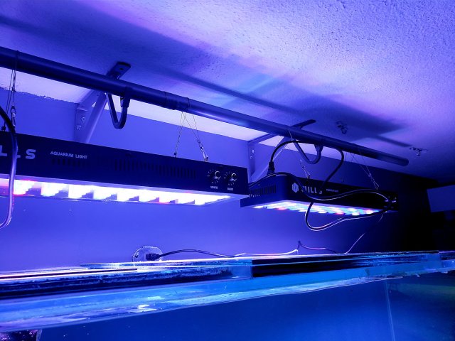 20200828_160654.jpg
