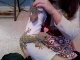 images (8).jpeg images (8).jpeg