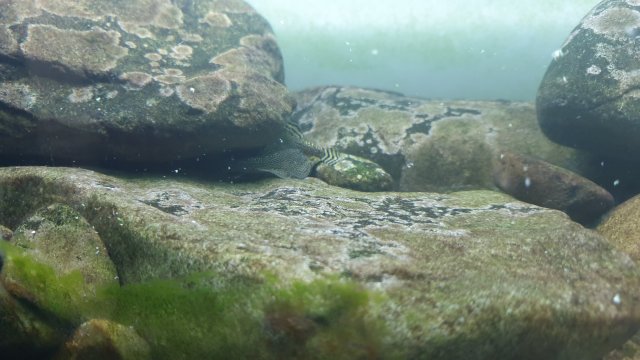 20200727_200859.jpg