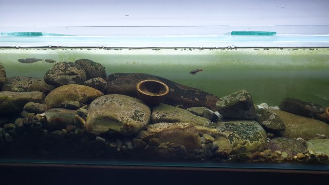 20200730_195001.jpg