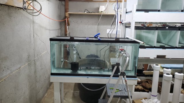 20200910_084205.jpg