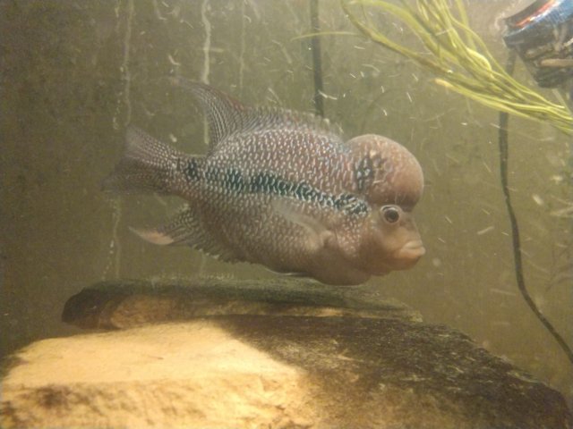 cameringo_20200321_062324.jpg cameringo_20200321_062324.jpg