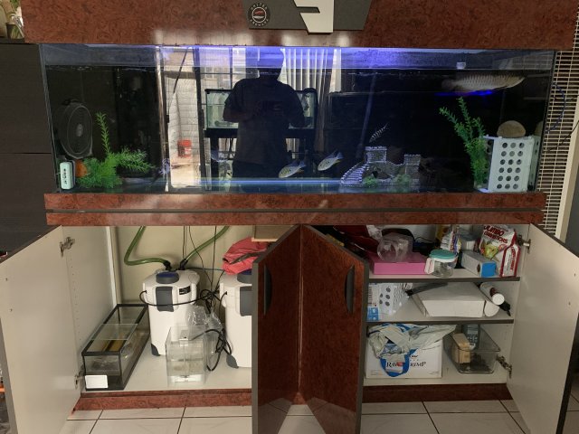 3051C082-425E-40A5-8152-FD5DBD62288B.jpeg 3051C082-425E-40A5-8152-FD5DBD62288B.jpeg