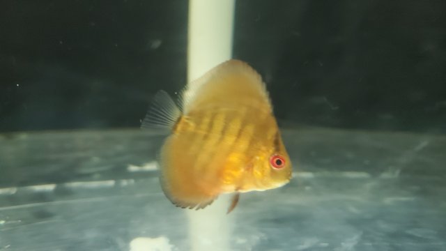 20200909_184937.jpg