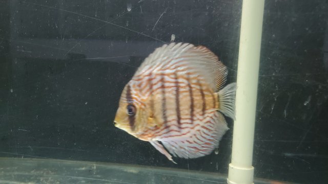 20200906_202342.jpg