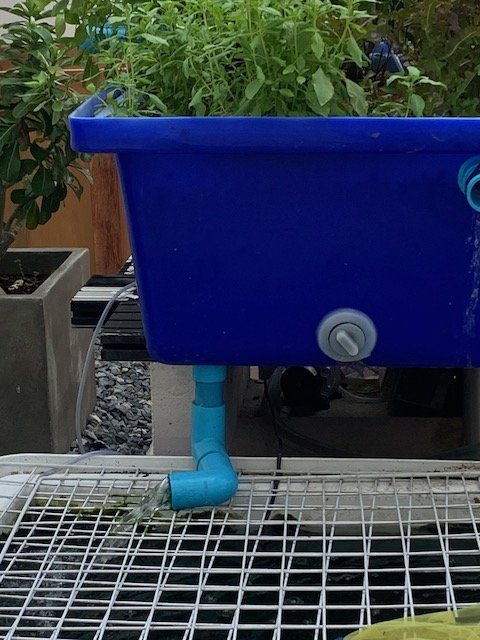 IMG_2162.jpeg IMG_2162.jpeg