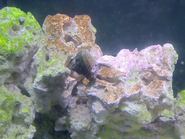 20200910_160325.jpg