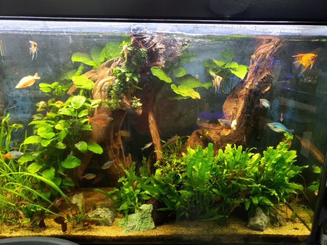 20200912_155518.jpg 20200912_155518.jpg