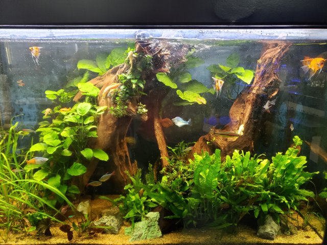 20200912_155520.jpg 20200912_155520.jpg