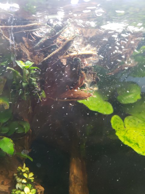 20200912_155525.jpg 20200912_155525.jpg