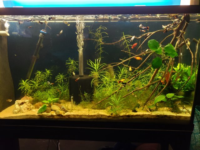 20200913_210200.jpg 20200913_210200.jpg