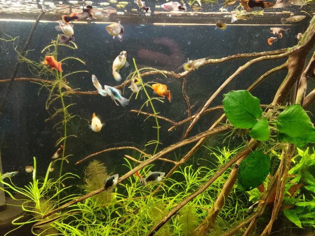 20200913_210208.jpg 20200913_210208.jpg