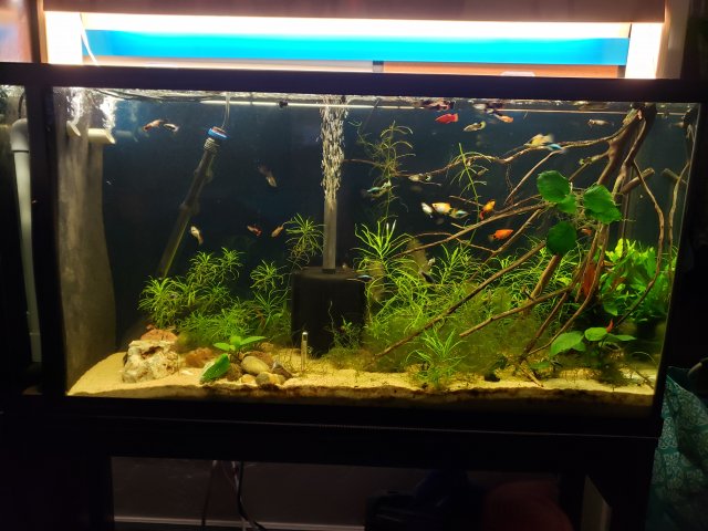 20200913_210204.jpg 20200913_210204.jpg