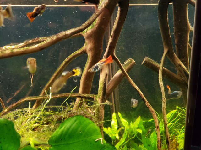 20200913_210221.jpg 20200913_210221.jpg