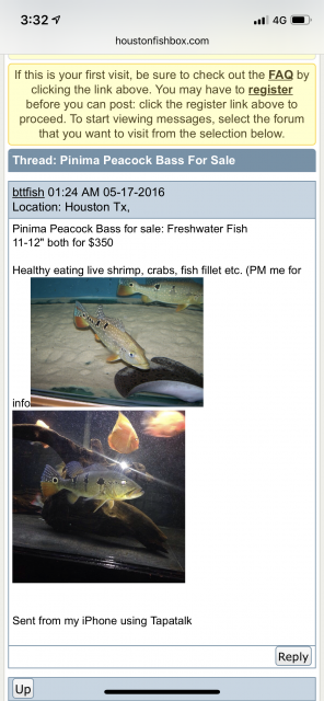 DFA3D9D1-E3DD-45D5-8DE5-1168A4285089.png