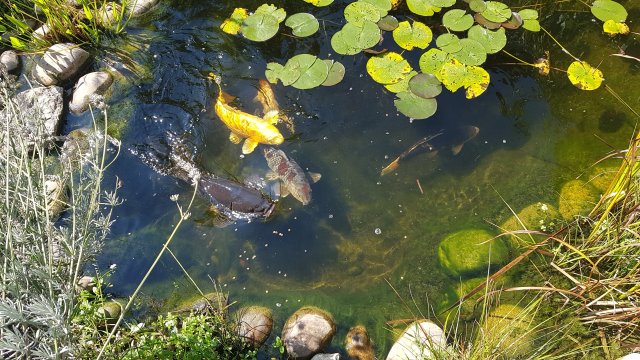 20200915_135457.jpg