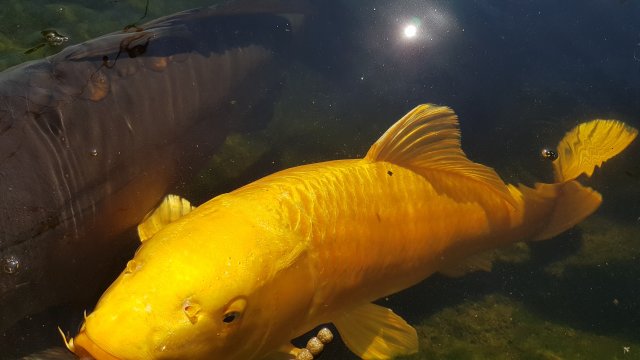 20200915_135649.jpg 20200915_135649.jpg