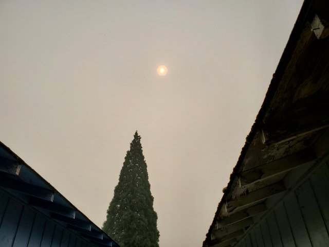 20200917_125637.jpg
