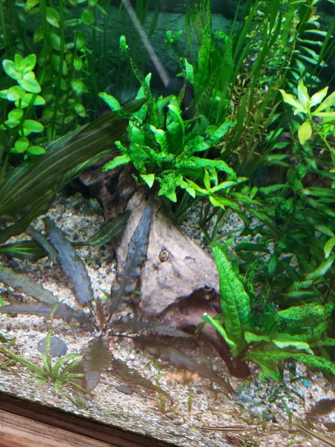 20200916_121342.jpg