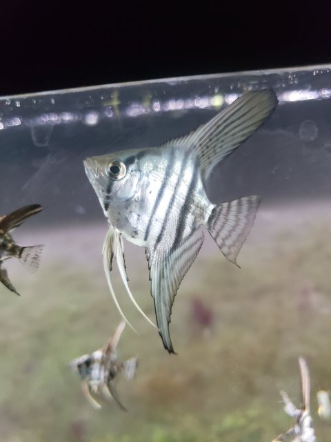 20200903_172926.jpg 20200903_172926.jpg