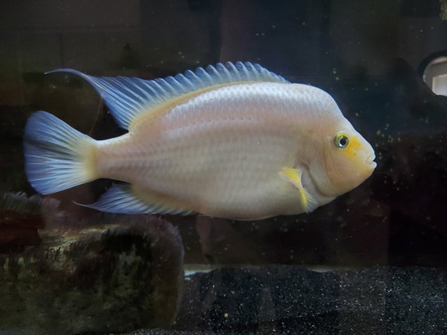 20200807_124307.jpg 20200807_124307.jpg