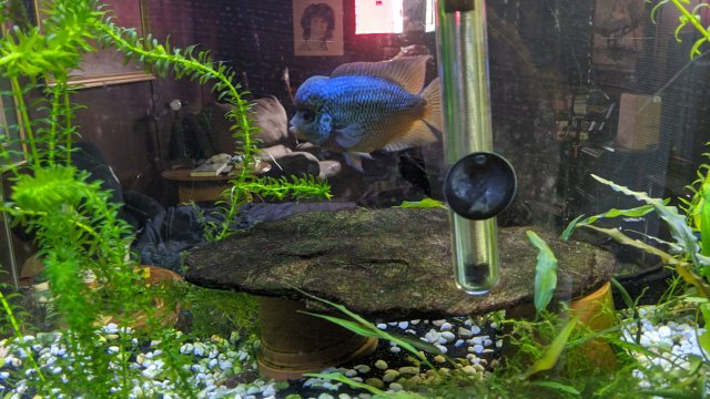 IMG_20200918_113417.jpg