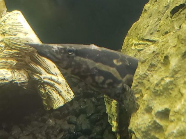 1600922260955.png 1600922260955.png