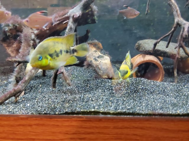 20200925_094500.jpg