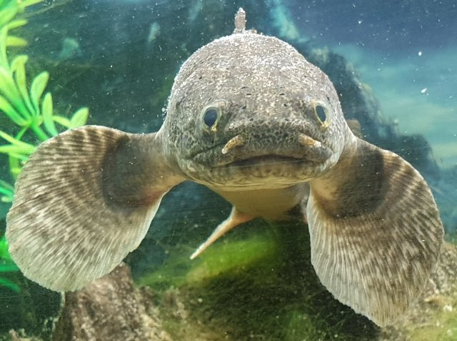 20200727_135236.jpg 20200727_135236.jpg