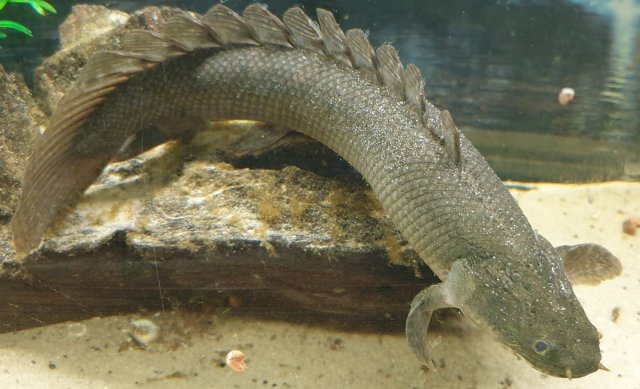 20200727_134911.jpg 20200727_134911.jpg