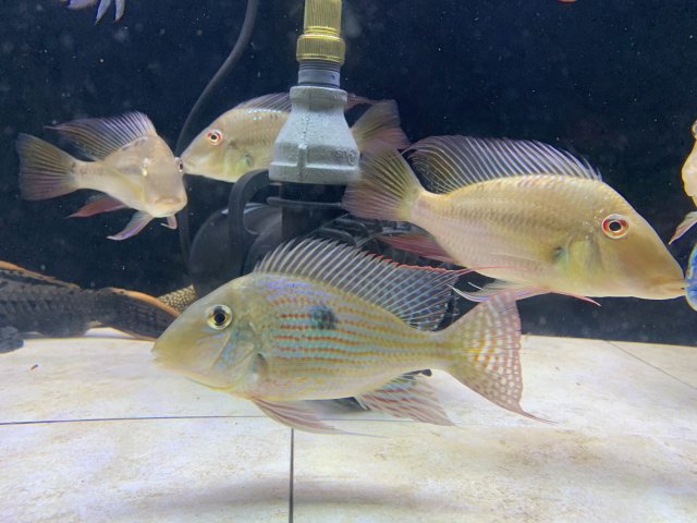 20200926_015143271_iOS (2).jpg