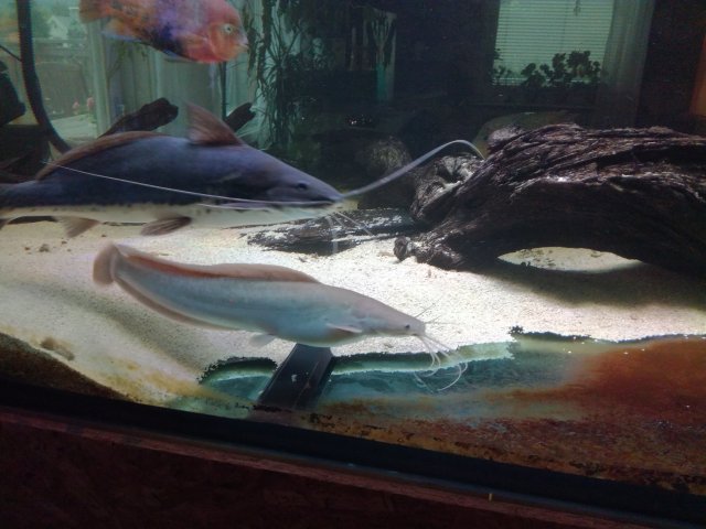 IMG_20200925_175216.jpg