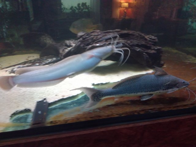 IMG_20200925_174925.jpg