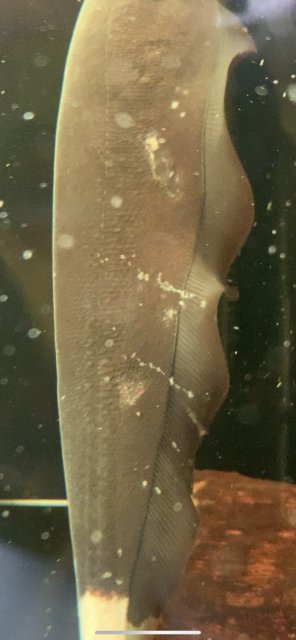 E1FAFF86-32A9-4FEC-93AC-9CD8242ECAA7.jpeg E1FAFF86-32A9-4FEC-93AC-9CD8242ECAA7.jpeg