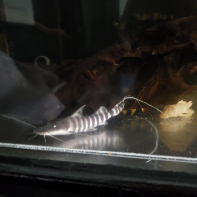20200923_210319.jpg