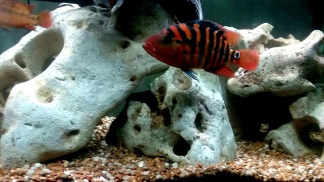 20200928_205844.jpg