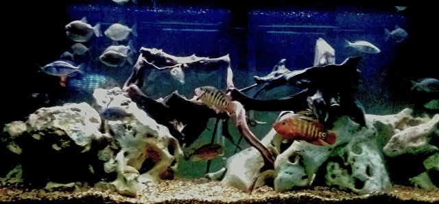 20200928_210023.jpg