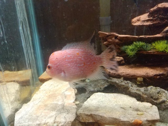 cameringo_20200730_215538.jpg cameringo_20200730_215538.jpg