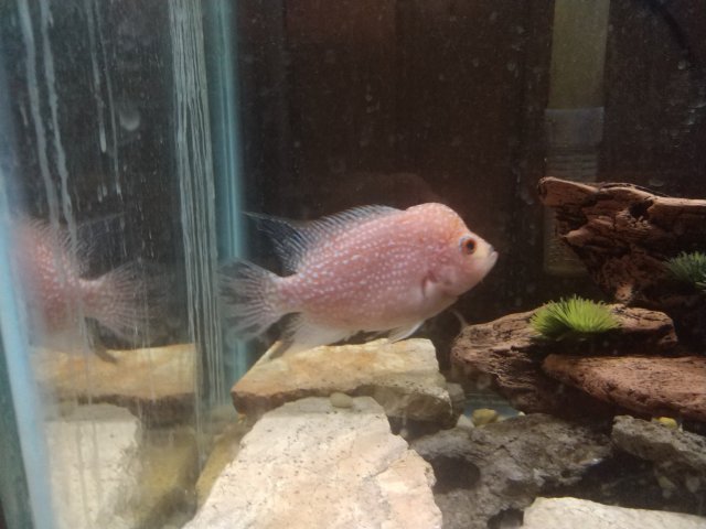 cameringo_20200730_215113.jpg cameringo_20200730_215113.jpg