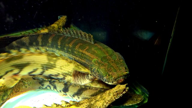 20200929_184749.jpg