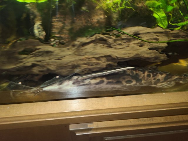 20200930_140835.jpg